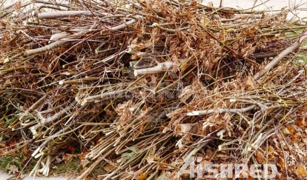 Ногоон хог хаягдал, биомасс боловсруулах хос босоо амтай бутлагч